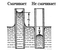 c-19-18