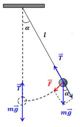 co-30-1