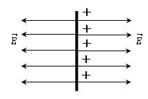 cons-23-2