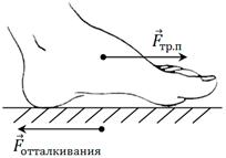 consp-fiz-6
