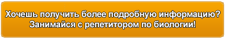 info bio